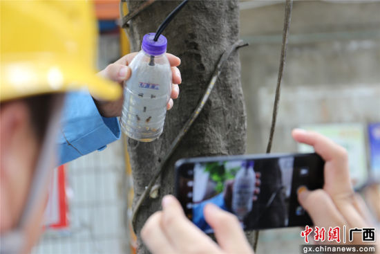 住戶為防止雨天插座漏電而套上的塑料瓶中積水明顯，存在漏電隱患。謝耘 攝